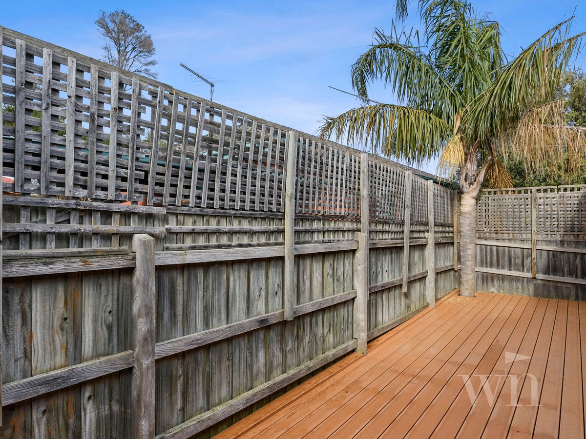 Image of backyard