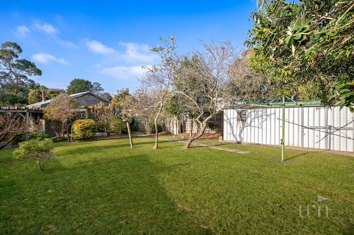 Image of backyard