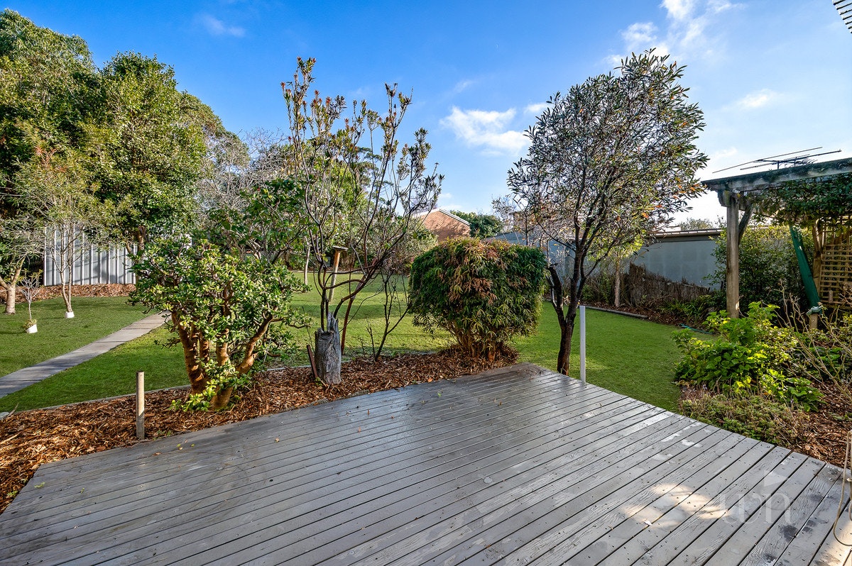 Image of backyard