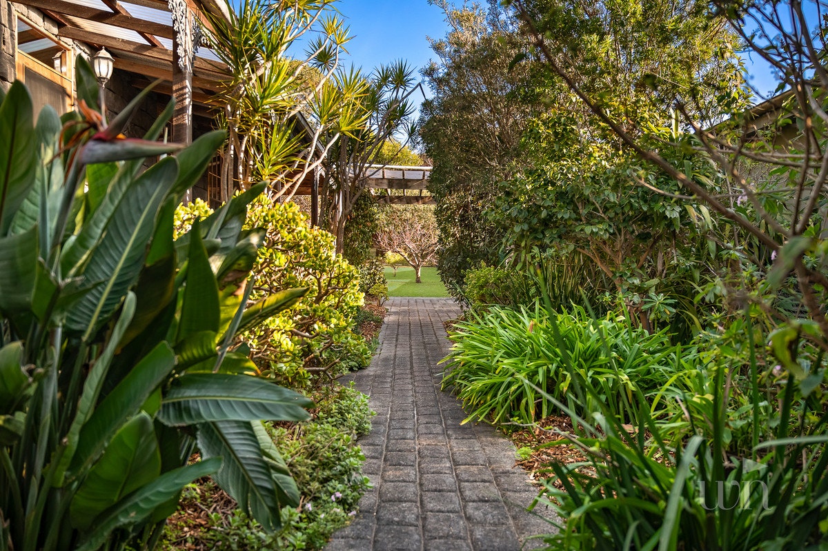 Image of garden