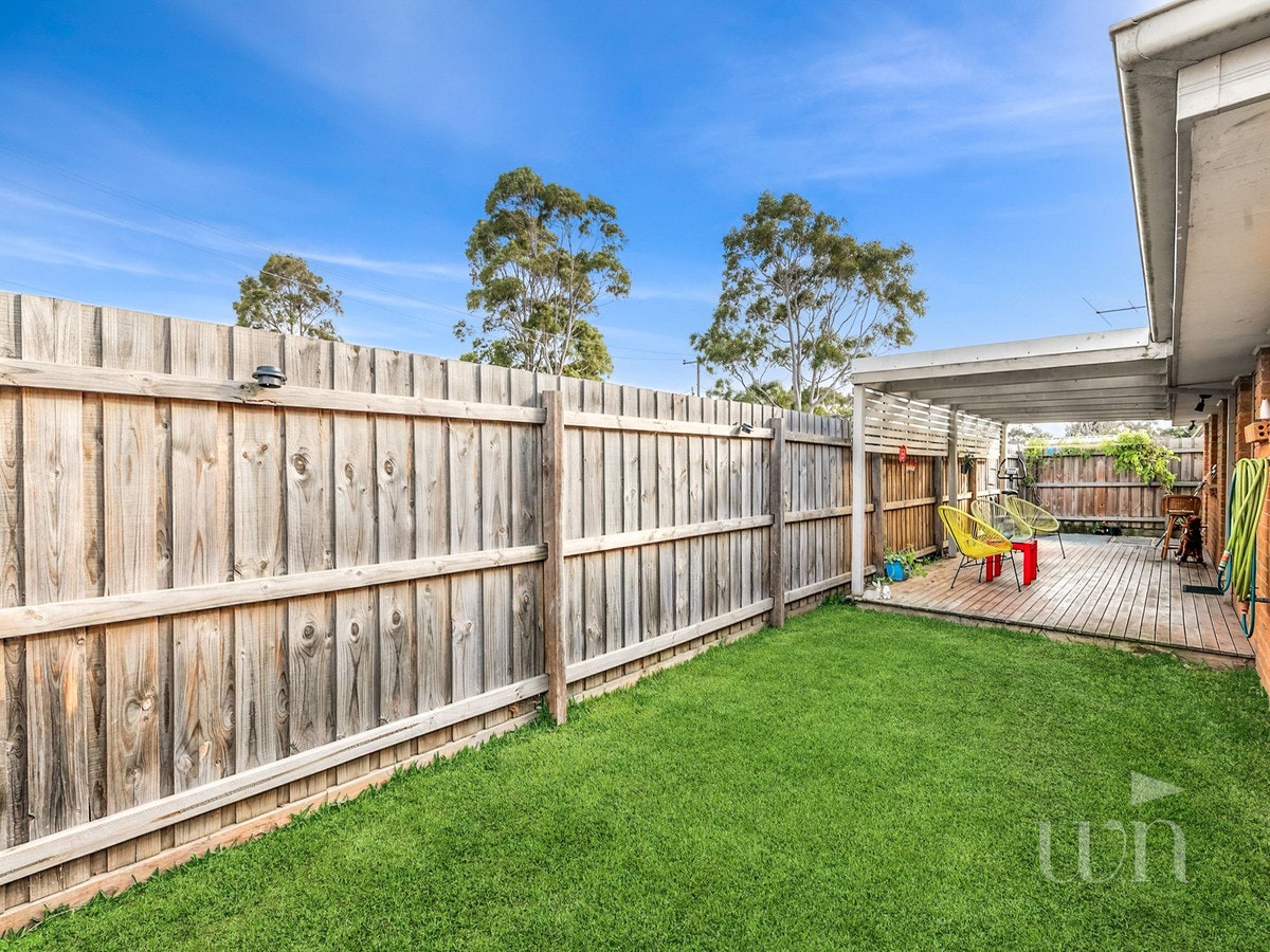 Image of backyard