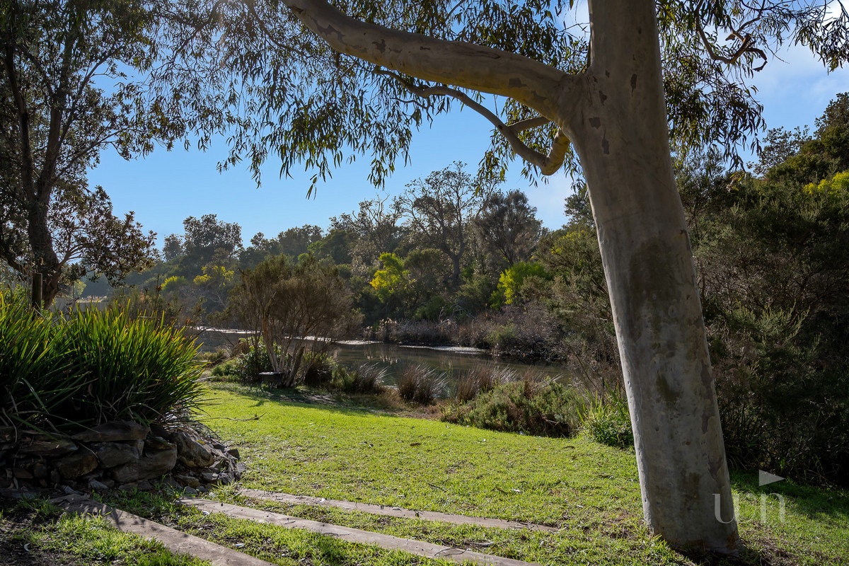 Image of tree