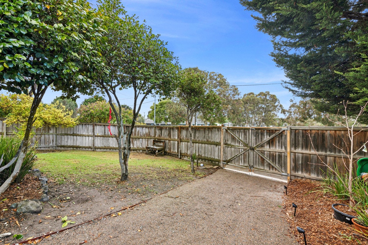 Image of backyard