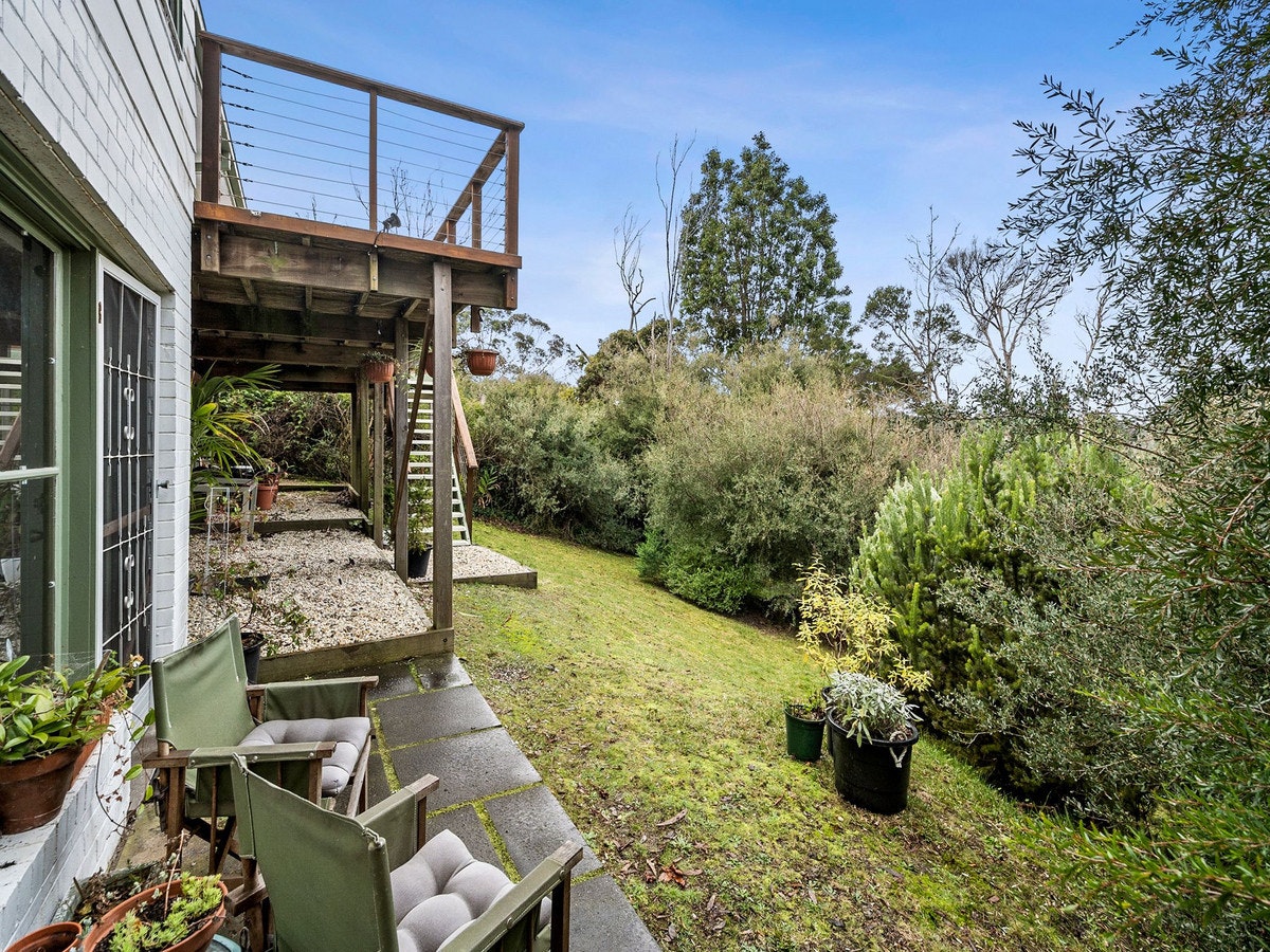 Image of backyard