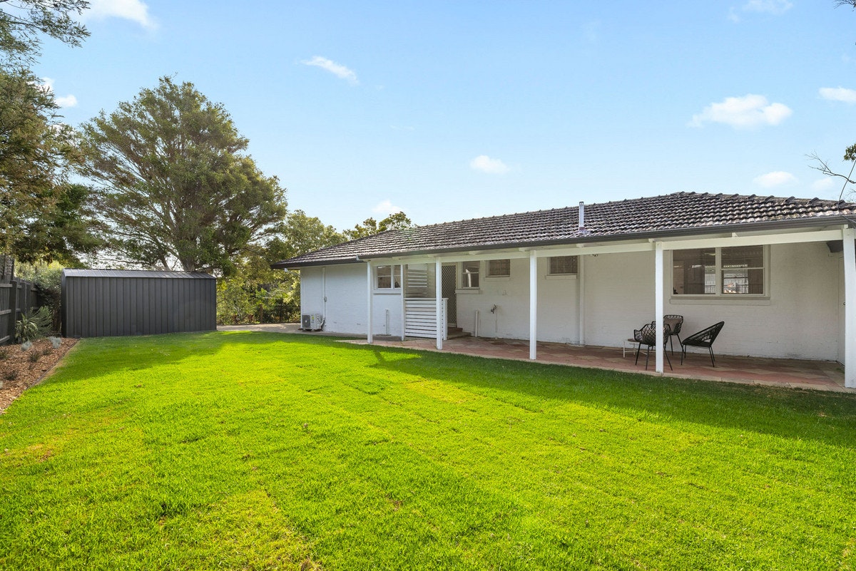 Image of backyard