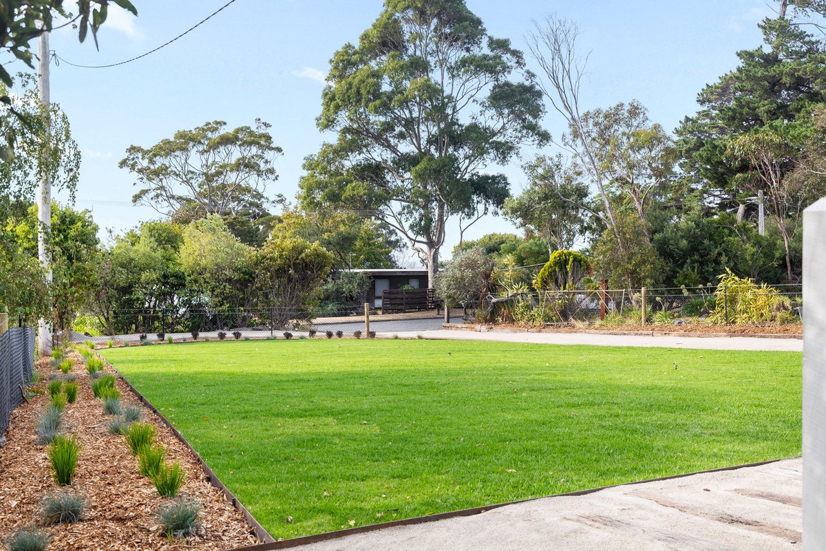 Image of grass