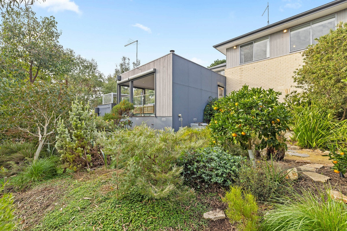 Image of backyard
