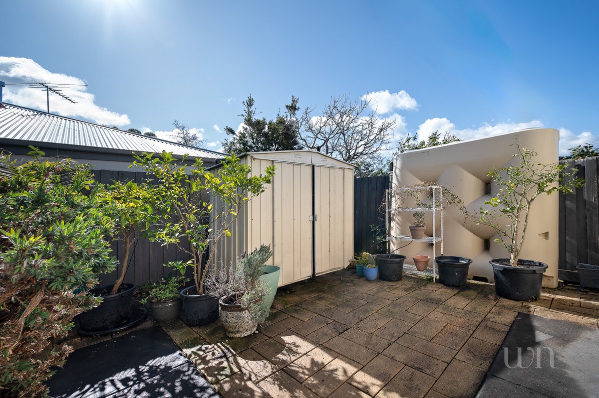 Image of backyard