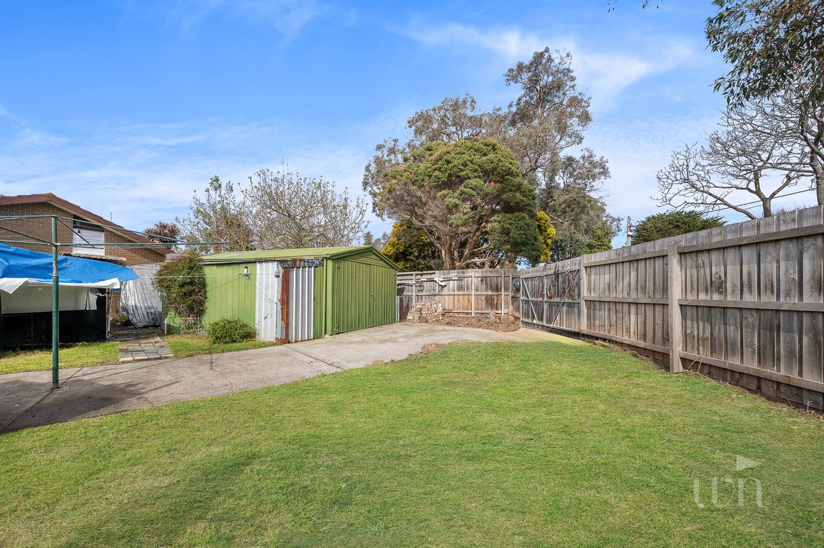 Image of backyard