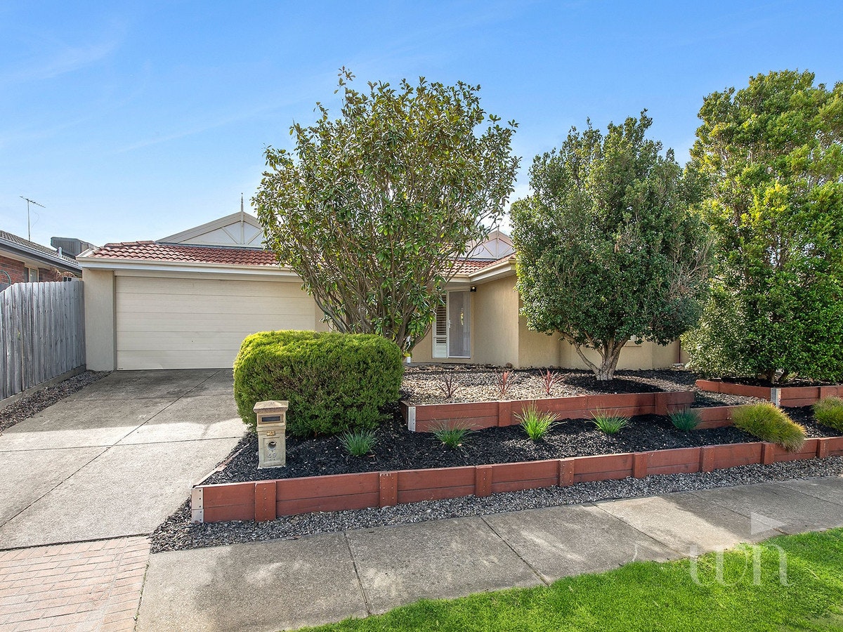 Image of backyard