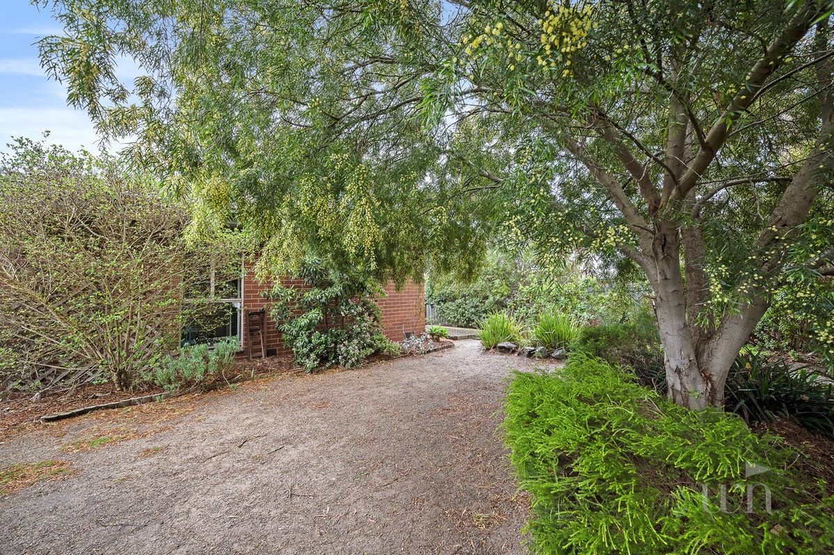 Image of vegetation