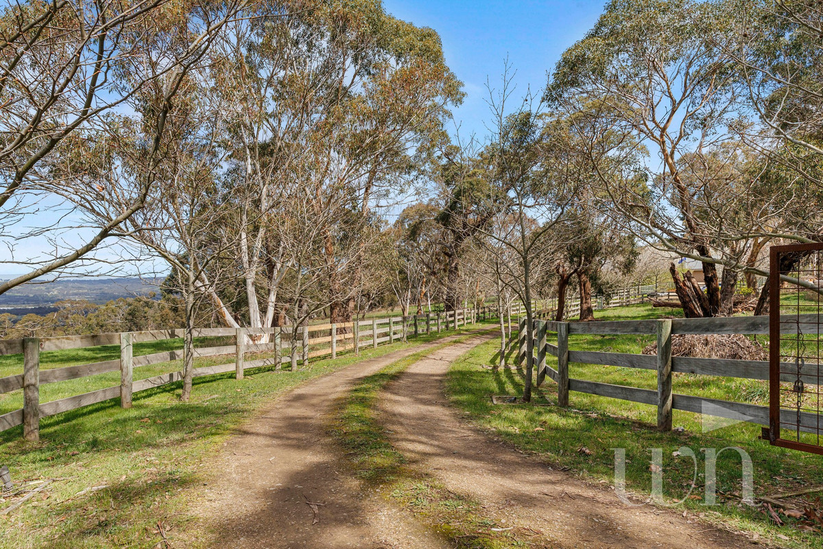190 Forest Drive, Mount Martha - Thumbnail 5