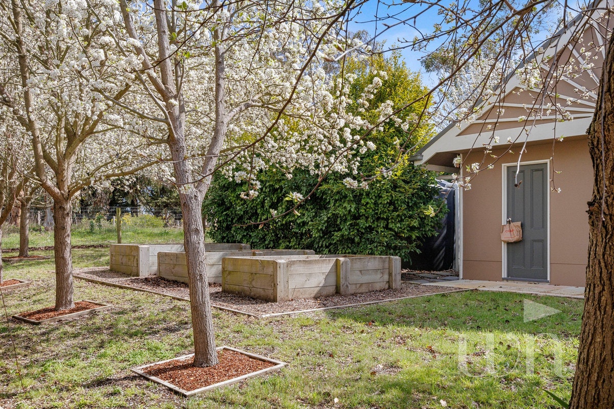 Image of backyard