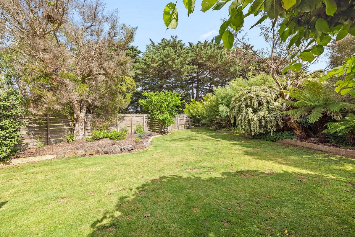 Image of backyard