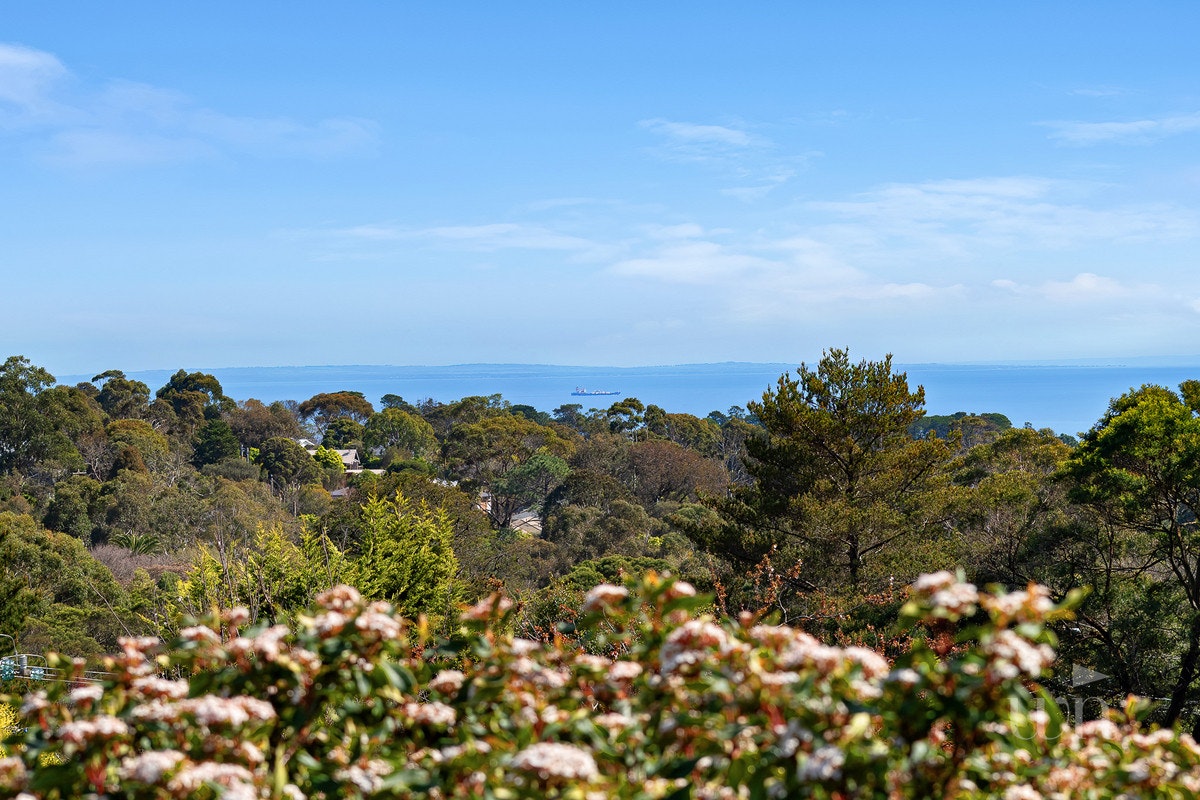 Image of vegetation
