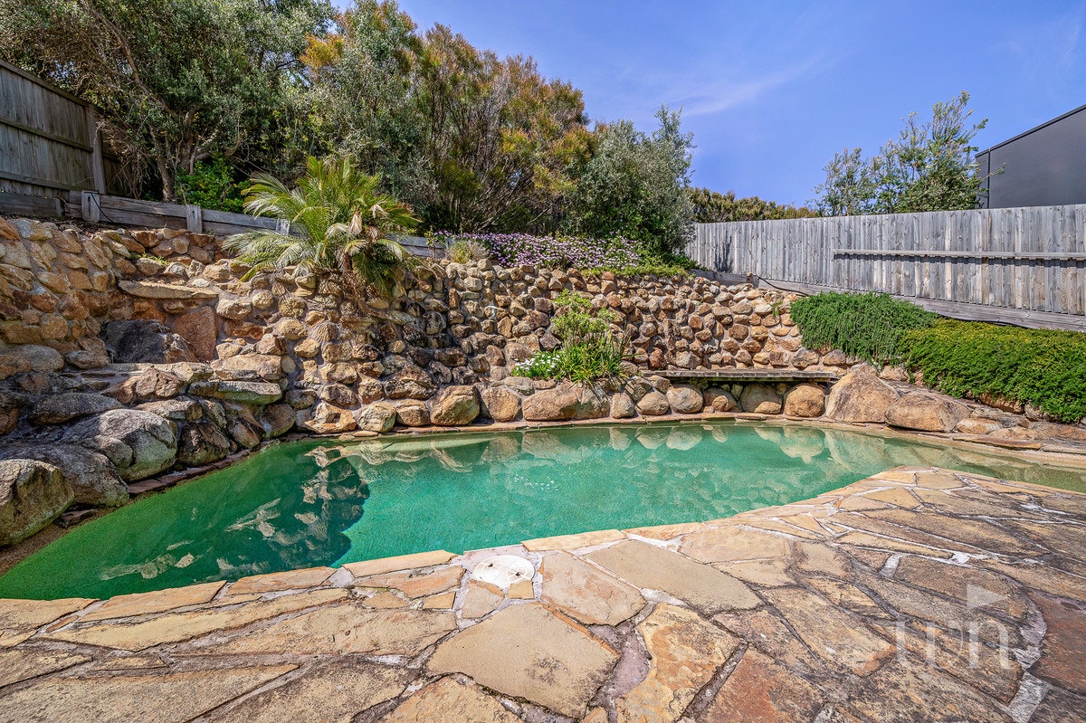 Image of backyard