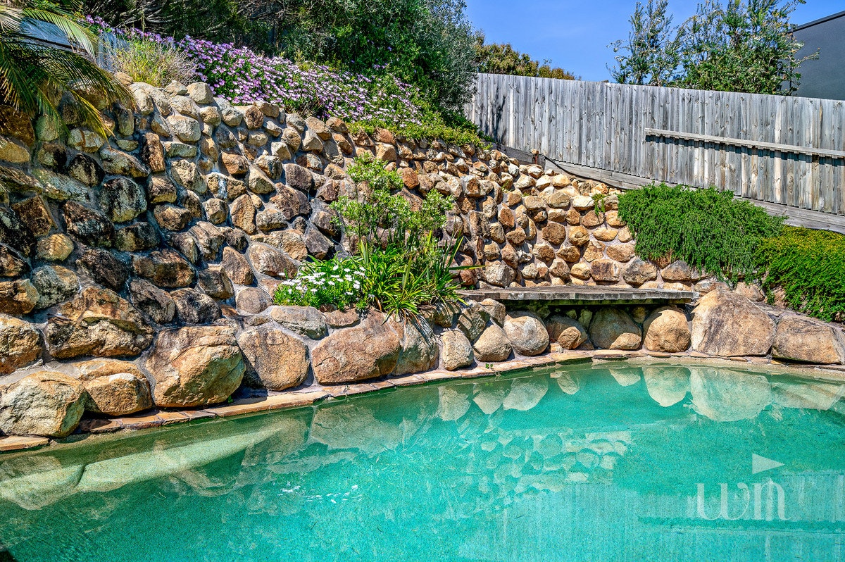 Image of backyard