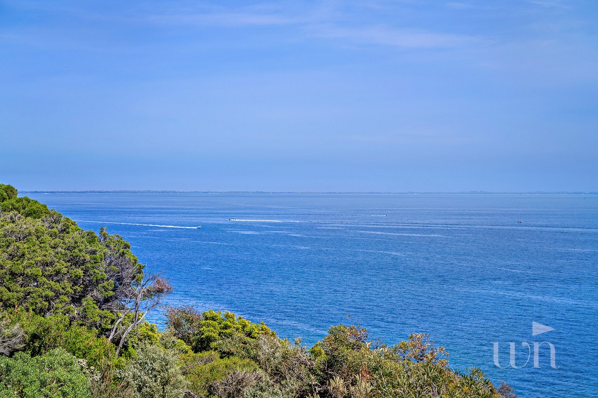 Image of nature