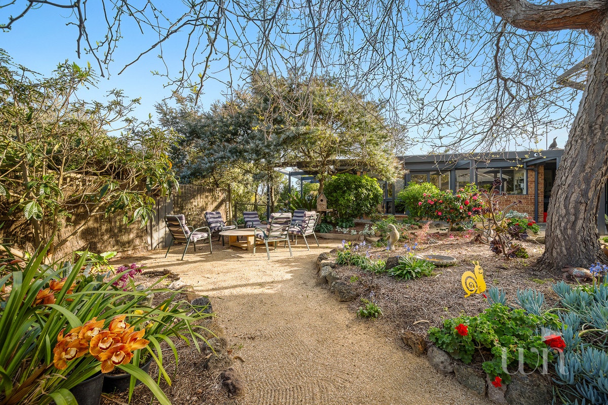 Image of backyard