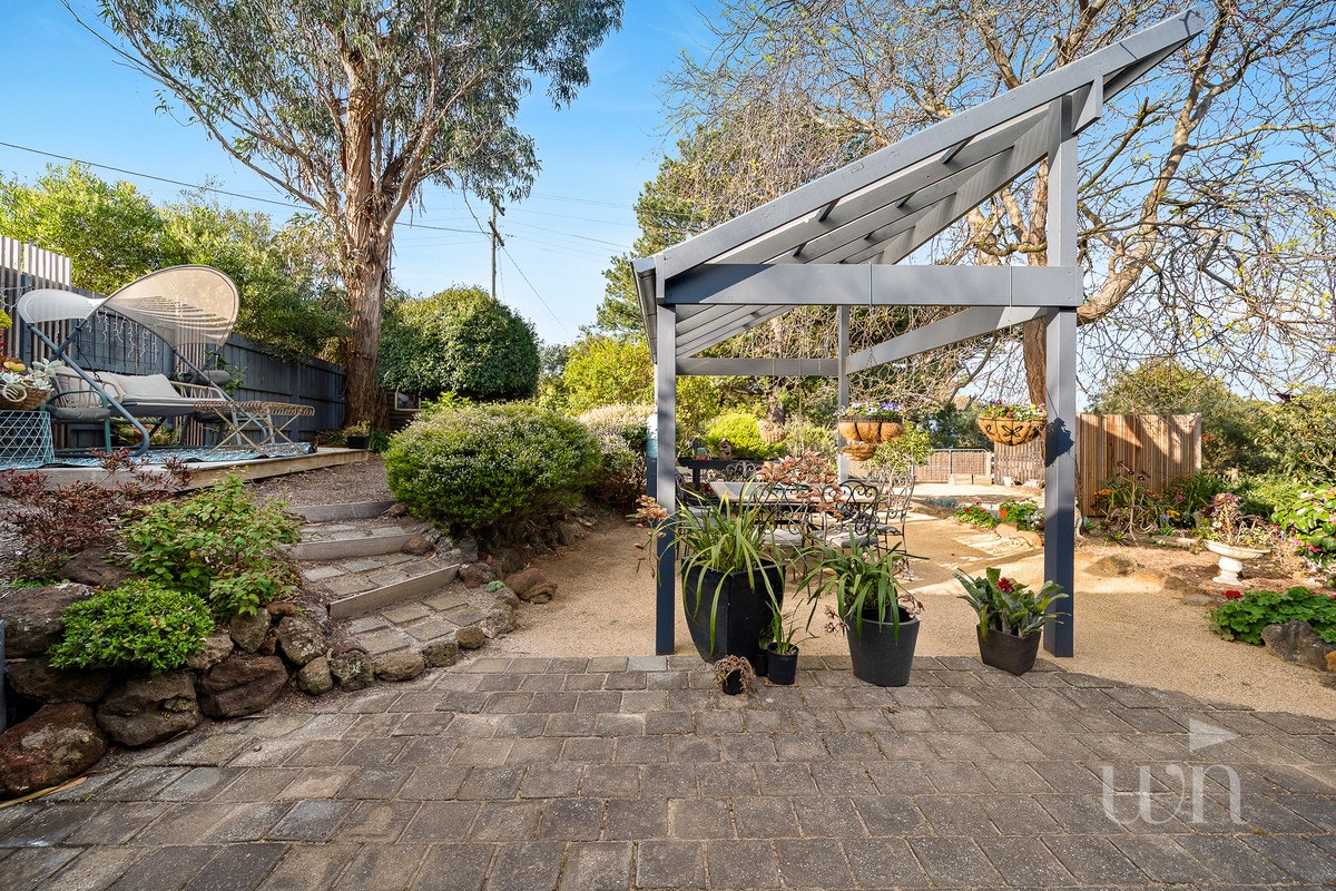 Image of backyard