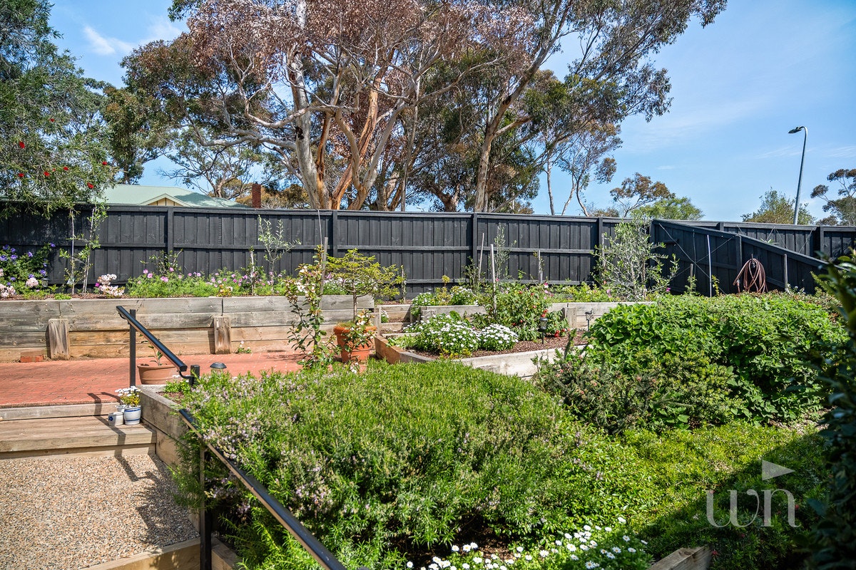 Image of backyard