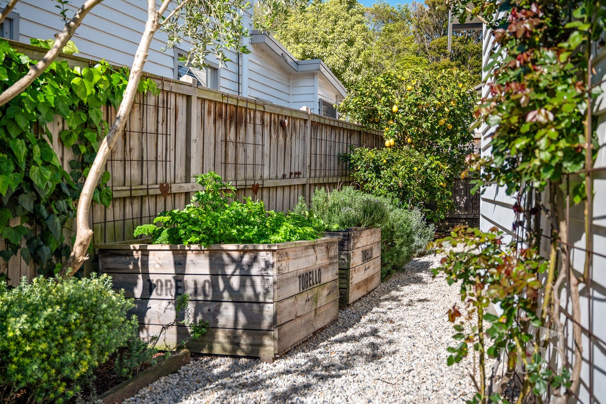 Image of backyard