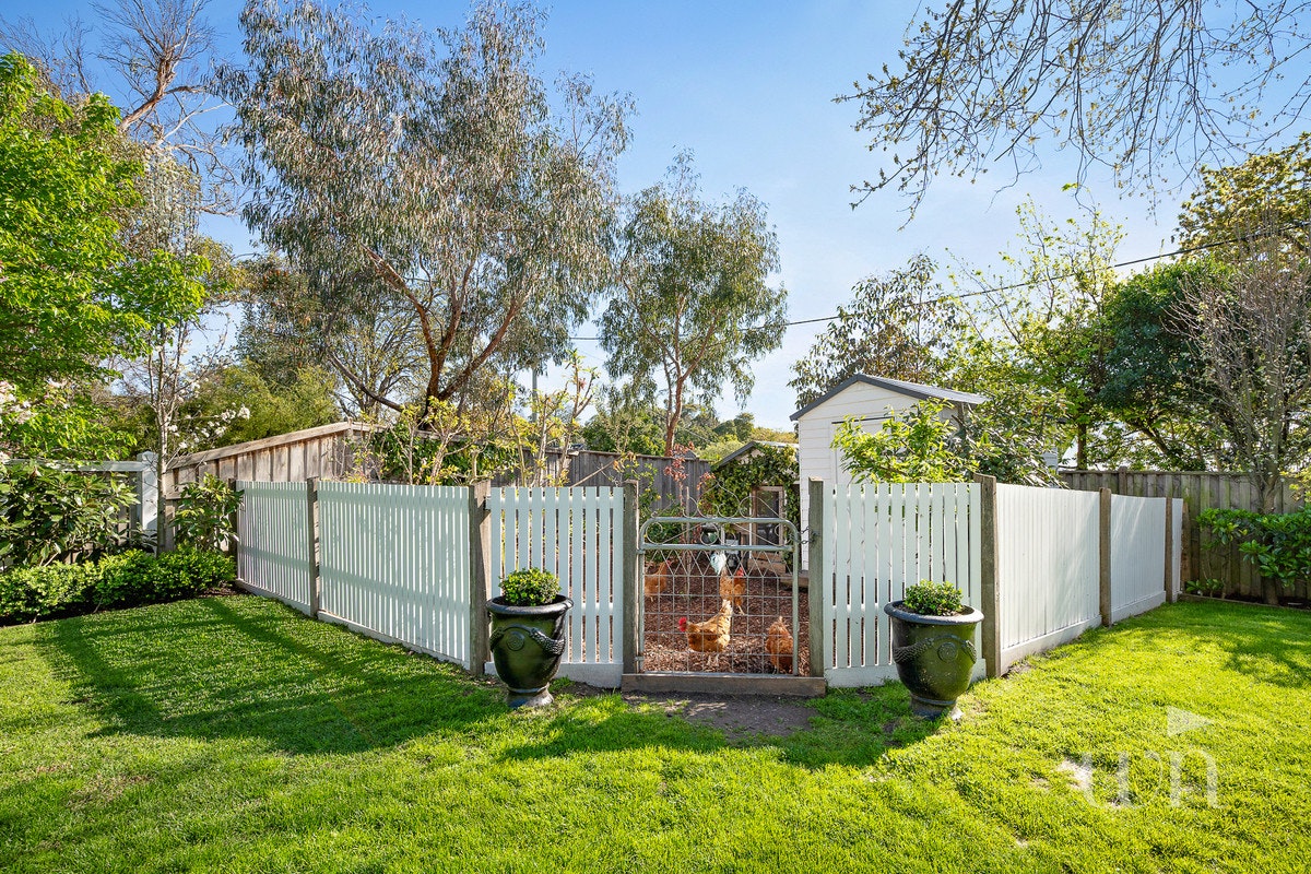 Image of backyard