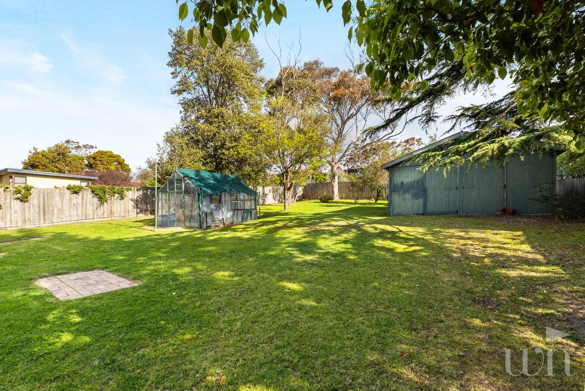 Image of backyard