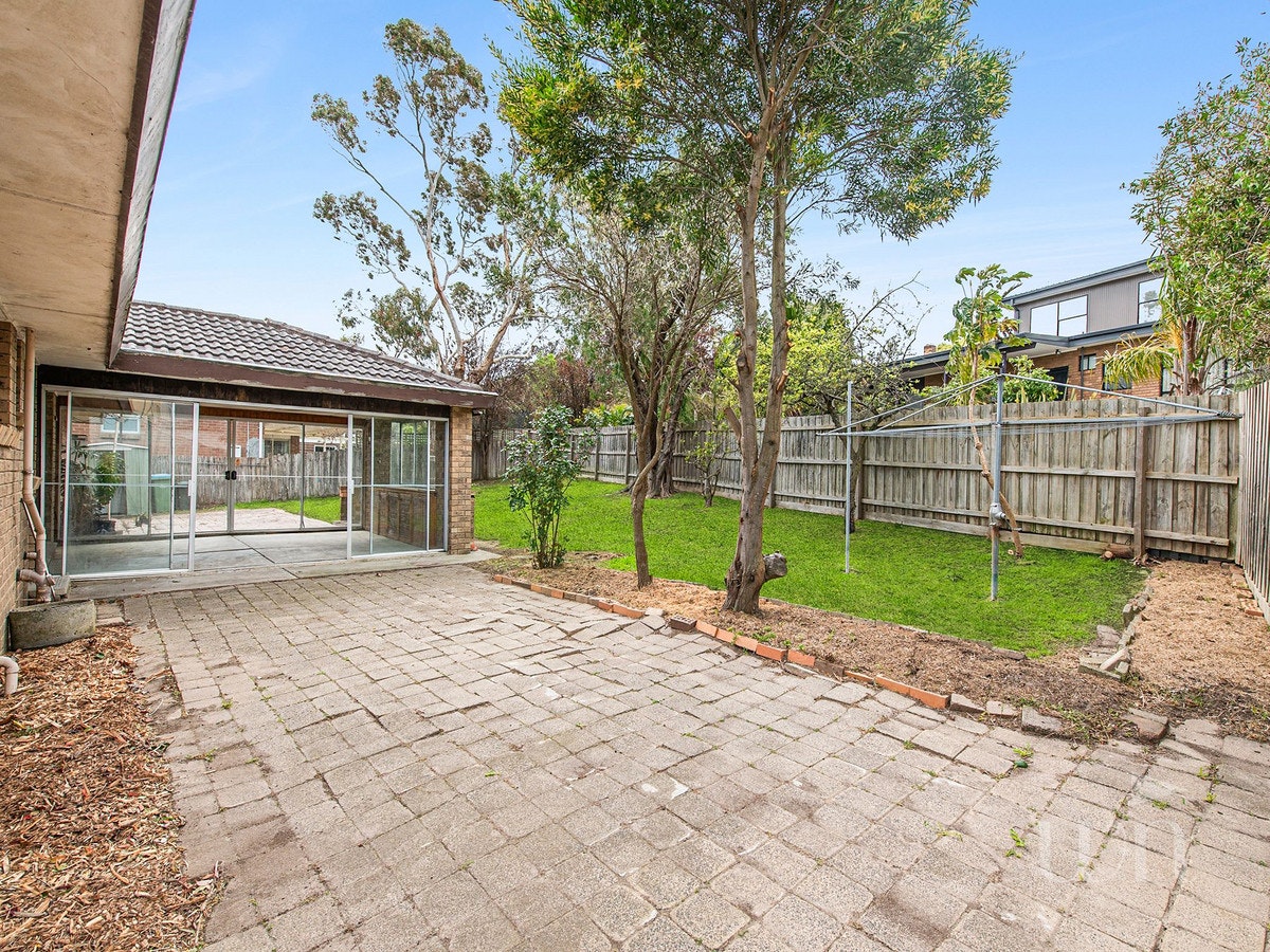Image of backyard