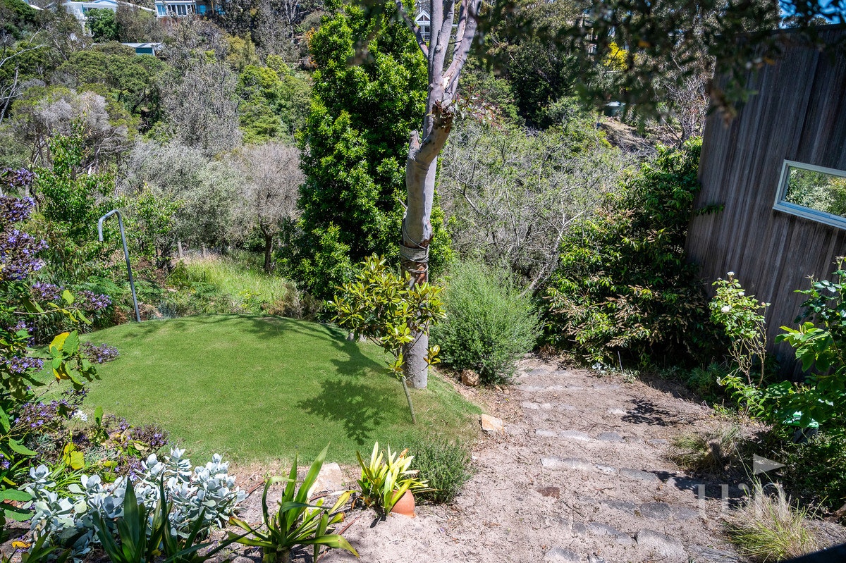 Image of backyard