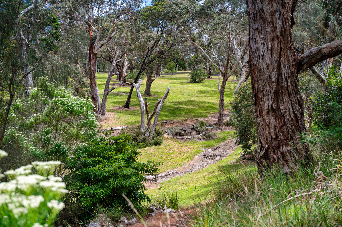 110 Forest Drive, Mount Martha - Thumbnail 7