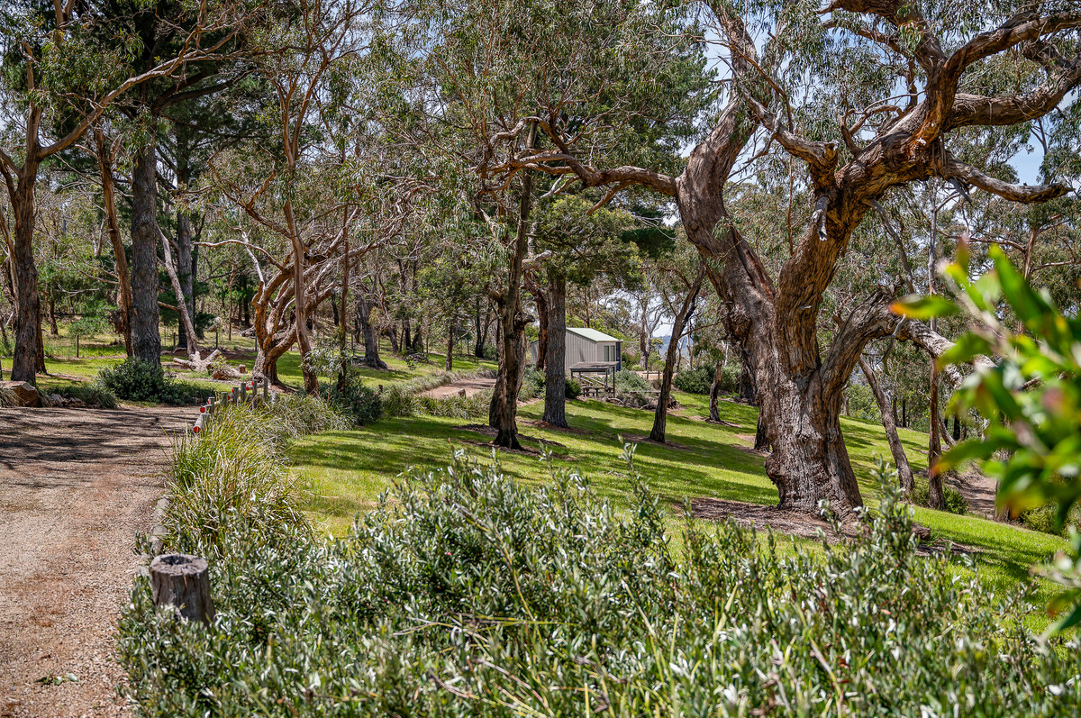 110 Forest Drive, Mount Martha - Thumbnail 8