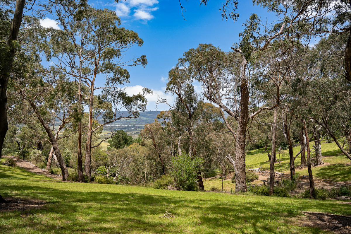110 Forest Drive, Mount Martha - Thumbnail 4