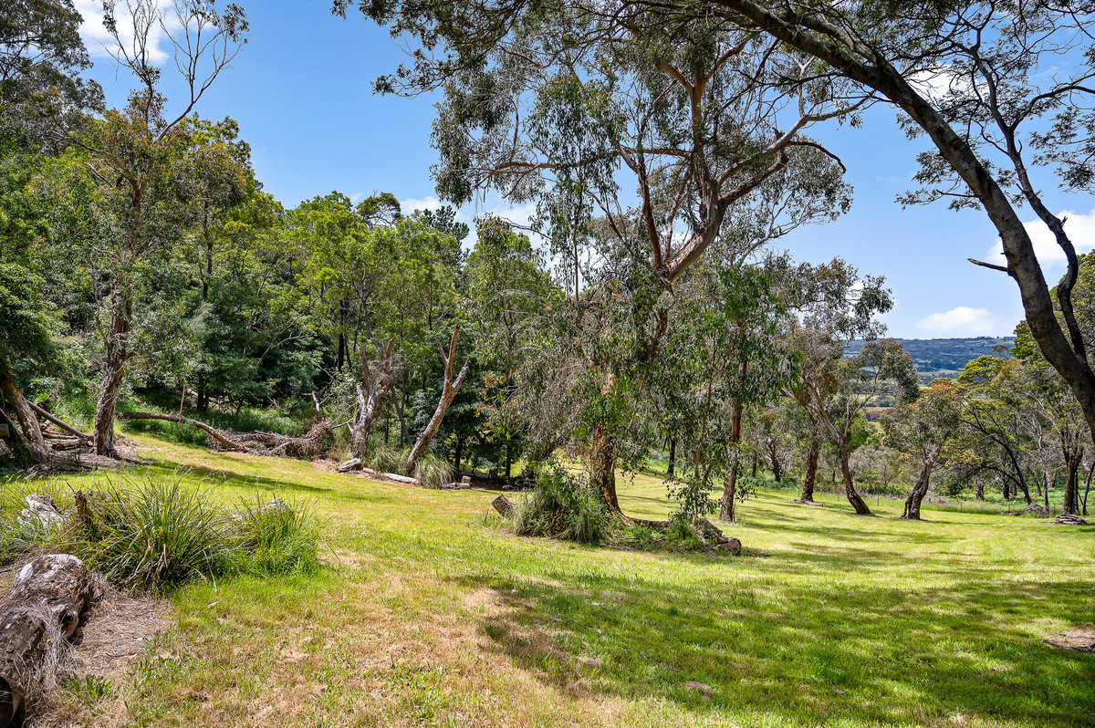 110 Forest Drive, Mount Martha - Thumbnail 5