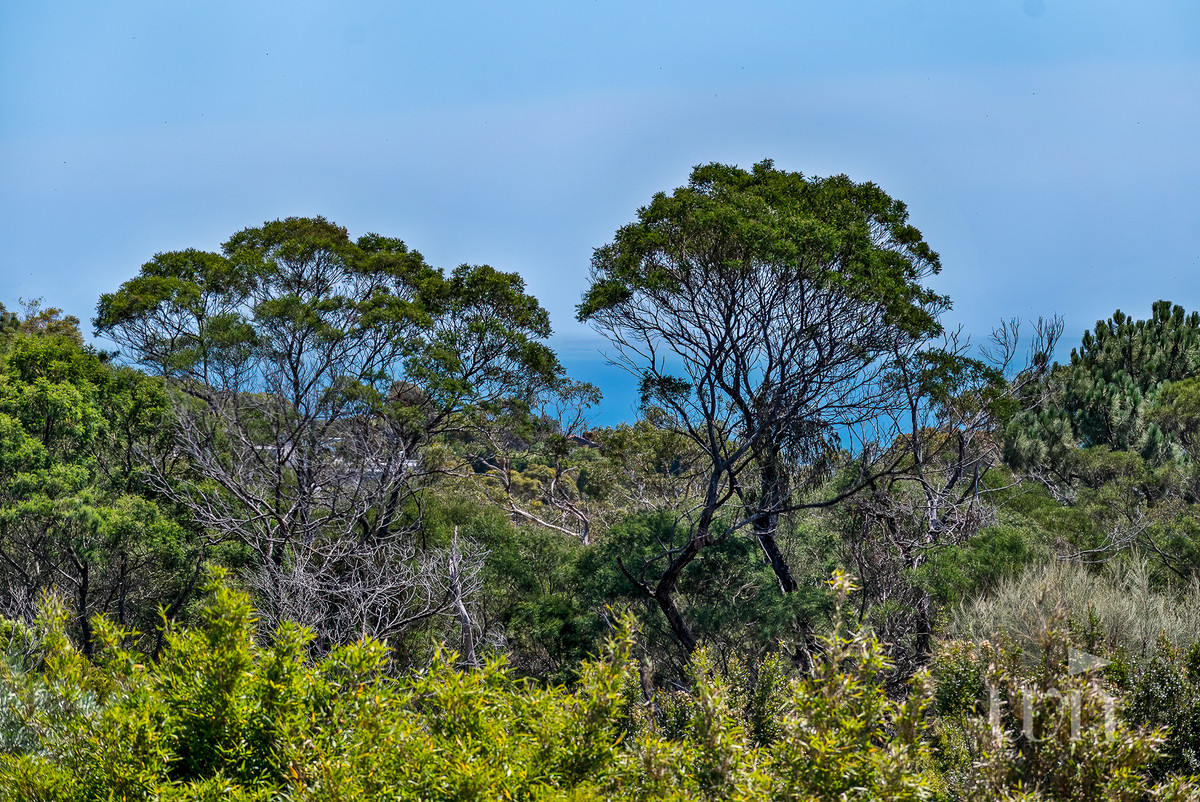 31 Waterview Drive, Mount Martha - Thumbnail 3
