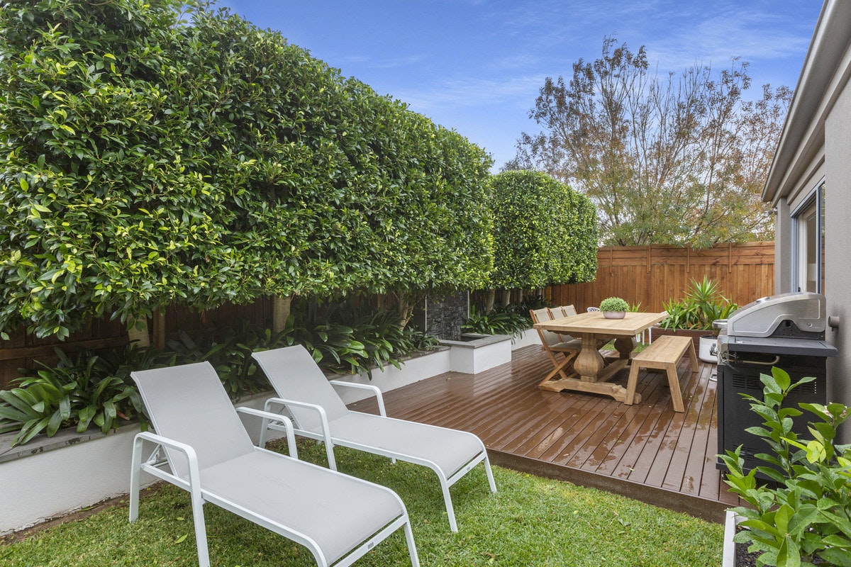 Image of backyard