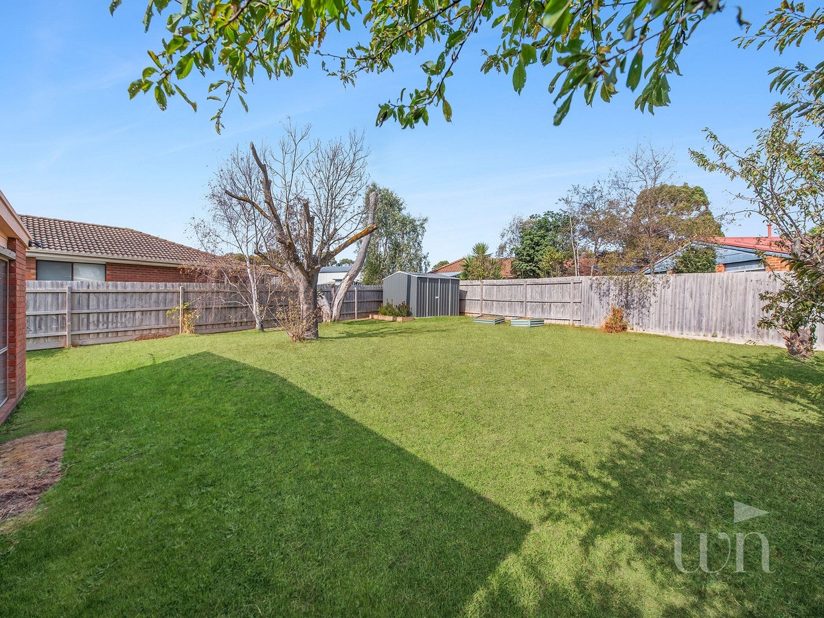 Image of backyard