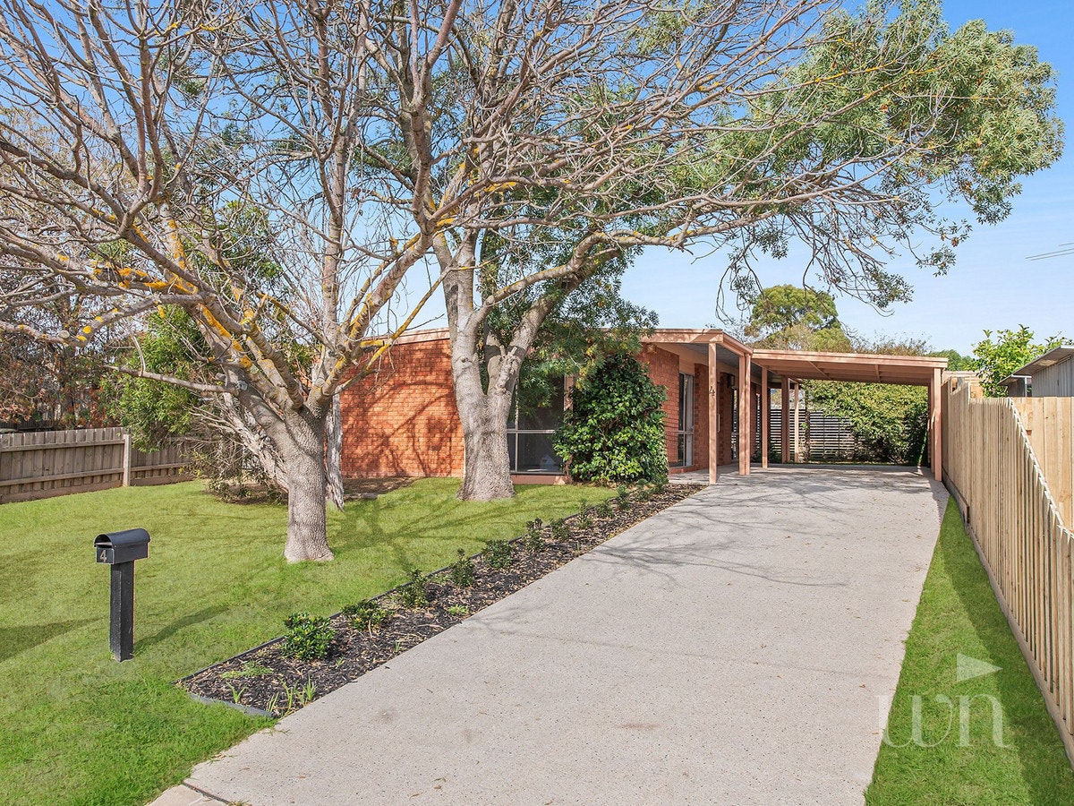 Image of backyard