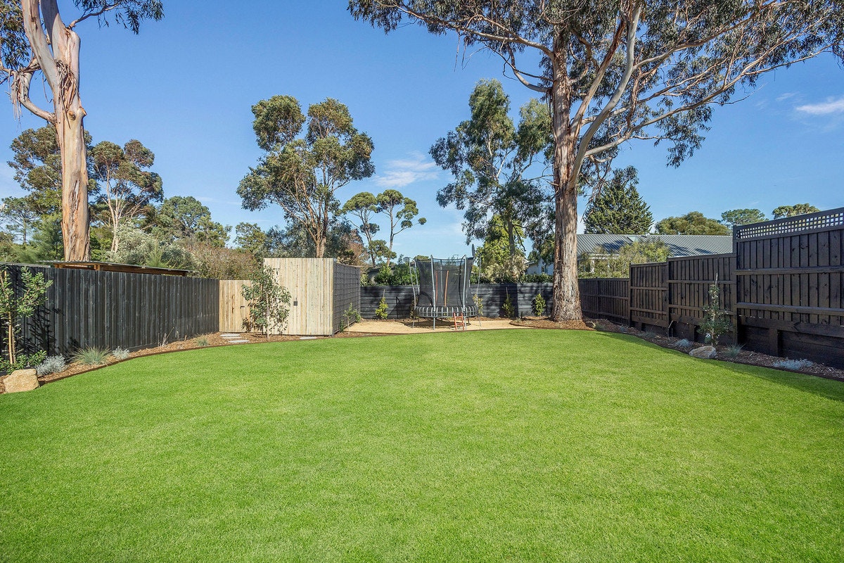 Image of backyard