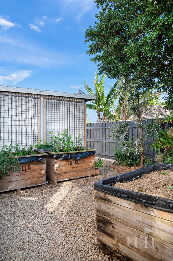 Image of backyard