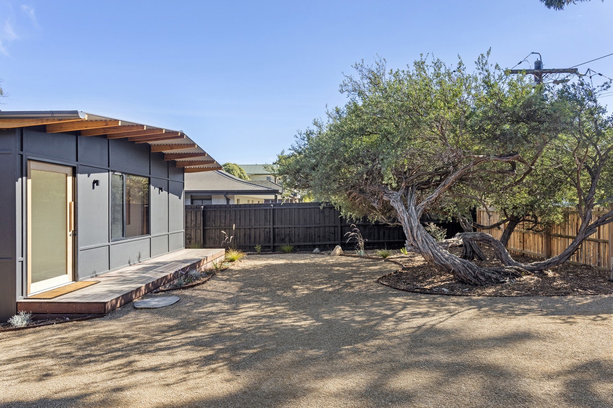Image of backyard
