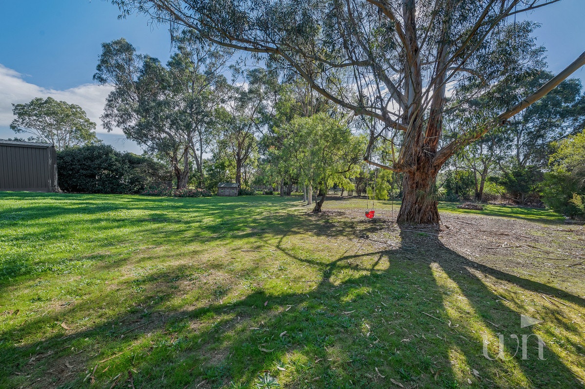 Image of grass
