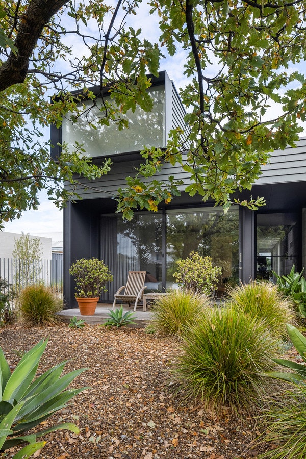 Image of backyard