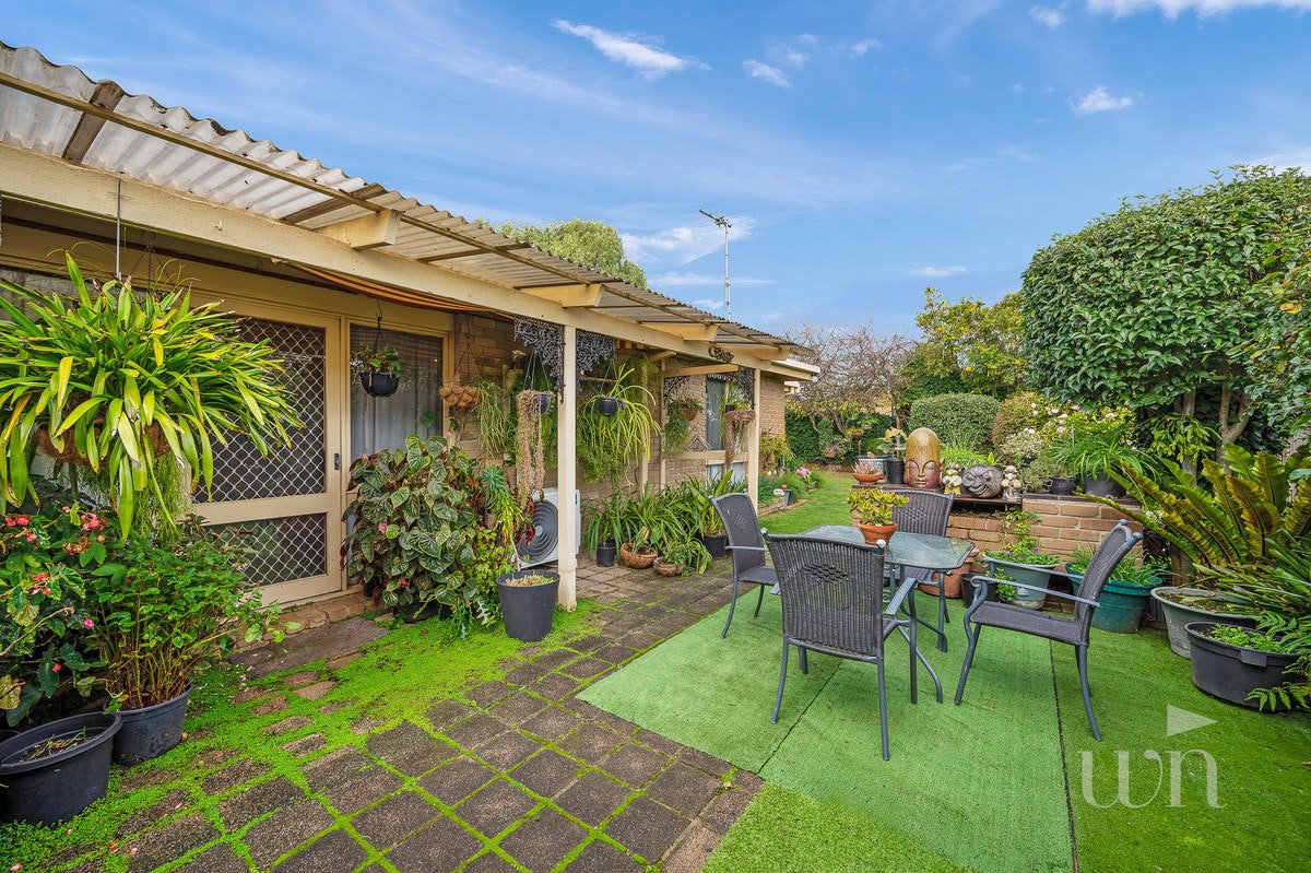 Image of backyard