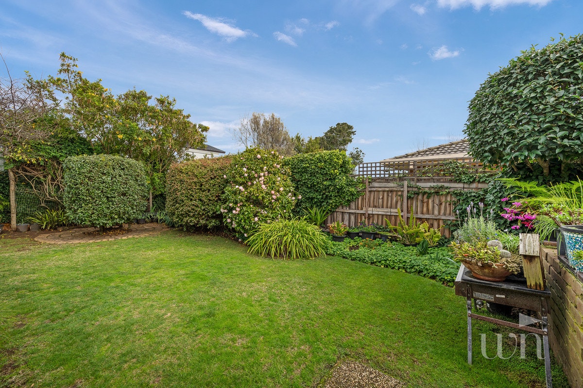Image of backyard