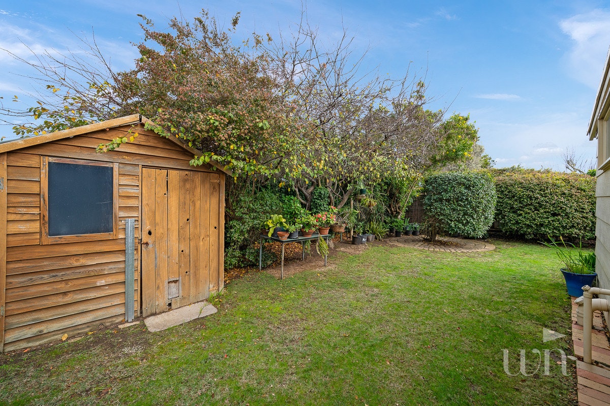 Image of backyard
