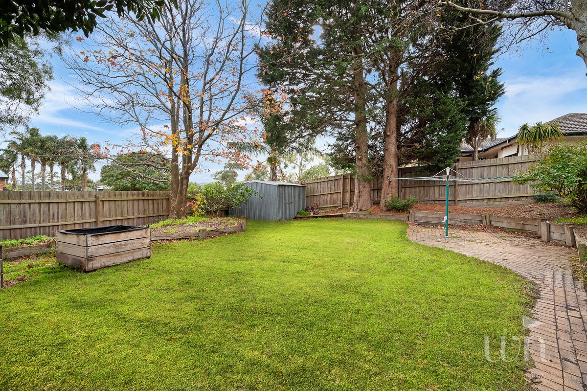 Image of backyard