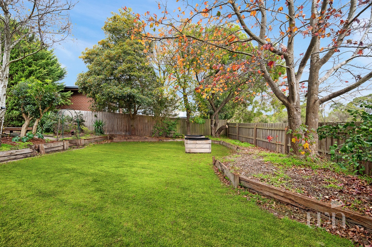 Image of backyard