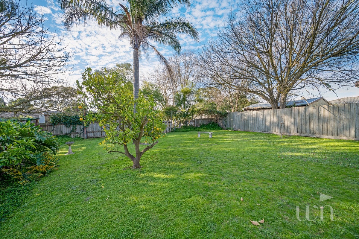 Image of backyard