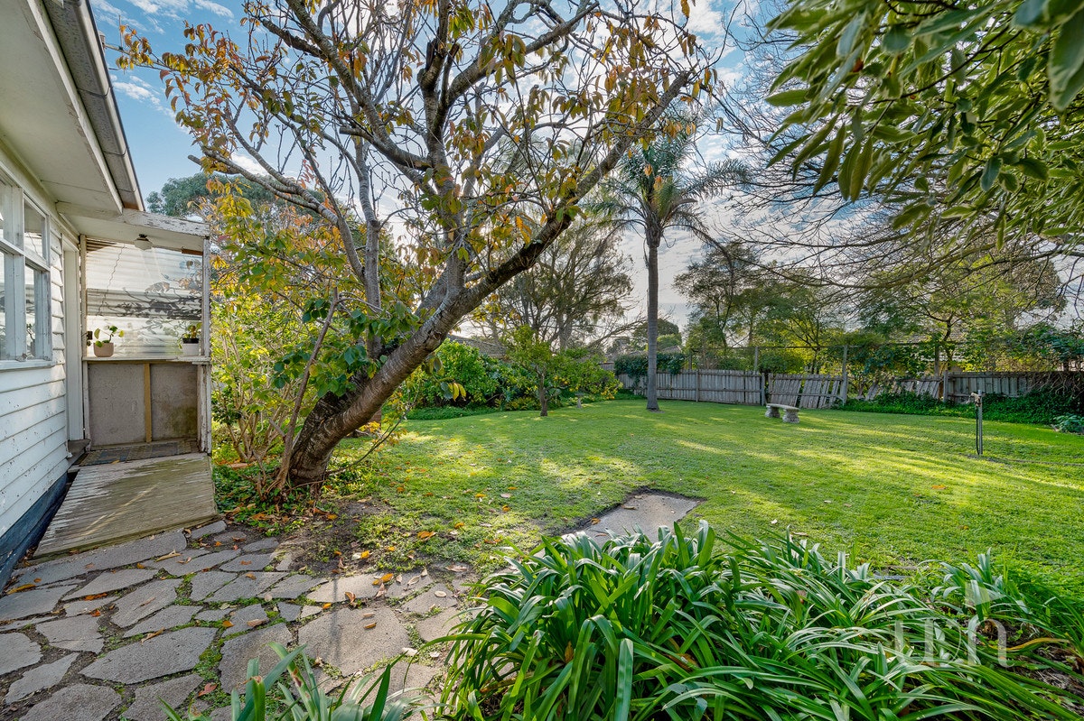 Image of backyard